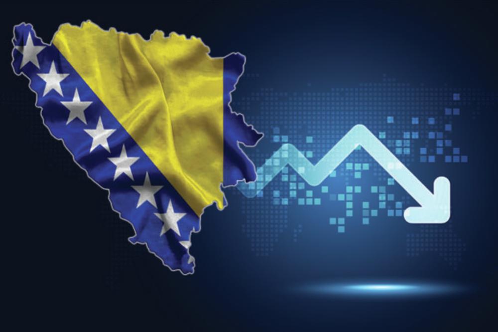 Bijela kuga u Bosni i Hercegovini